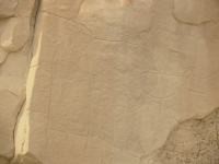 Bearpaw robe and bighorn petroglyphs